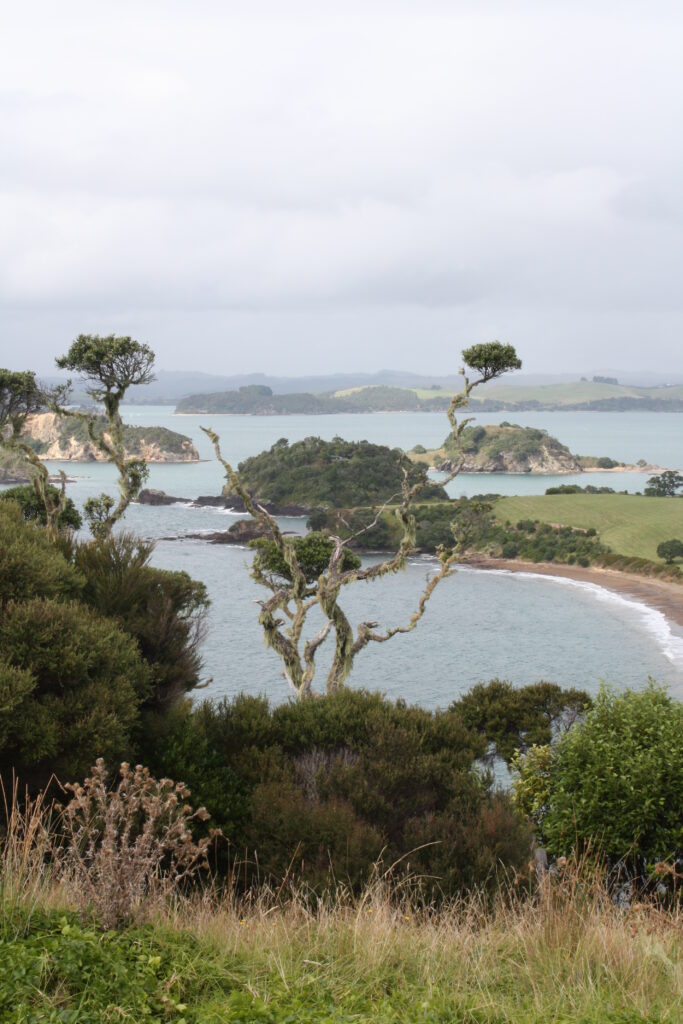 Looking out from Rangihoua Pā at the Te Pahi Islands, photo by Jessie Garland.